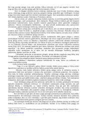 Pinigų plovimas 7 puslapis