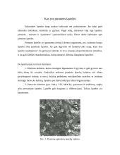 Pirminės ląstelių kultūros 2 puslapis