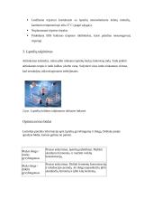 Pirminės ląstelių kultūros 5 puslapis