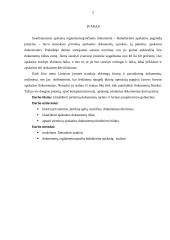 Pirminių dokumentų turinio ir formos projektavimas 2 puslapis