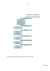 Pirminių dokumentų turinio ir formos projektavimas 14 puslapis