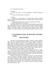 Pradinio mokymo plaukti metodika 19 puslapis