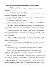 Pradinis ugdymas grojant pučiamaisiais instrumentais 5 puslapis