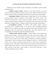 Pradinis ugdymas grojant pučiamaisiais instrumentais 7 puslapis