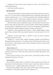 Pradinis ugdymas grojant pučiamaisiais instrumentais 10 puslapis