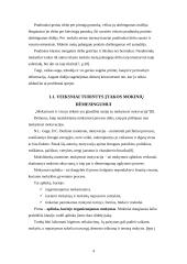 Pradinių klasių mokinių dėmesingumo skatinimas 4 puslapis