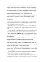 Pradinių klasių mokinių dėmesingumo skatinimas 5 puslapis