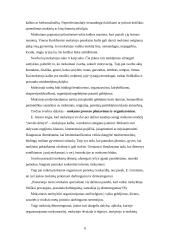 Pradinių klasių mokinių dėmesingumo skatinimas 6 puslapis