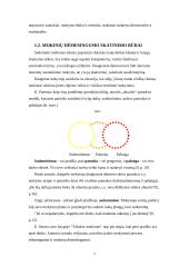 Pradinių klasių mokinių dėmesingumo skatinimas 7 puslapis