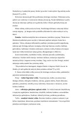 Pradinių klasių mokinių dėmesingumo skatinimas 9 puslapis