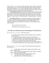 Pravardės ir jų klasifikavimas 3 puslapis