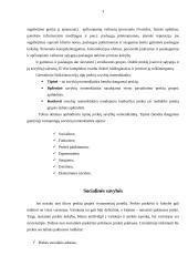 Prekės (ne maisto) vartojamosios savybės ir reikalavimai jų kokybei 3 puslapis