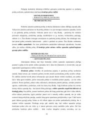 Prekybinės veiklos esmė 14 puslapis