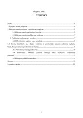 Probleminio mokymo esmė 2 puslapis