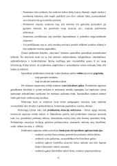 Probleminio mokymo esmė 11 puslapis