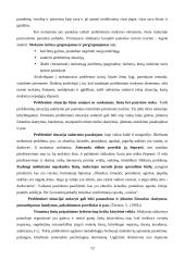Probleminio mokymo esmė 13 puslapis