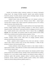 Probleminio mokymo esmė 3 puslapis