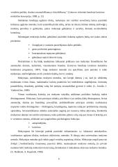 Probleminio mokymo esmė 6 puslapis