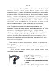 Projektinio metodo panaudojimas specialybės dalykuose