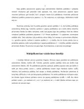 Pusiausvyros nacionalinio produkto kitimas. Multiplikatorius 3 puslapis