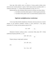 Pusiausvyros nacionalinio produkto kitimas. Multiplikatorius 6 puslapis