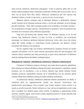 Reklamos teisinis reguliavimas Lietuvos Respublikoje 5 puslapis