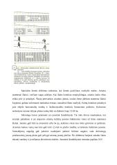 Dirvožemio rekultivacija 12 puslapis