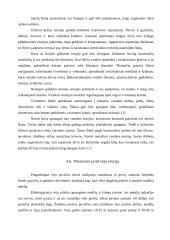 Dirvožemio rekultivacija 13 puslapis