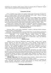Renesanso epochos literatūra Lietuvoje 7 puslapis