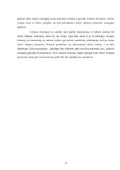 Rinkos ekonomikos privalumai 11 puslapis