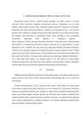 Rinkos ekonomikos privalumai 7 puslapis