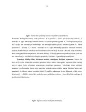 Rinkos ypatumai agrariniame sektoriuje 5 puslapis