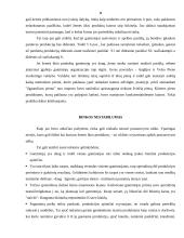 Rinkos ypatumai agrariniame sektoriuje 9 puslapis