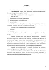 Romėnų šeimos charakteristika. Santuokos kanonų teisė 2 puslapis