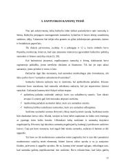 Romėnų šeimos charakteristika. Santuokos kanonų teisė 11 puslapis