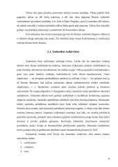 Romėnų šeimos charakteristika. Santuokos kanonų teisė 7 puslapis