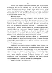 Rožių rūšys 11 puslapis