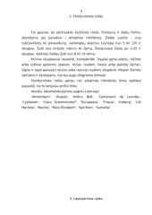 Rožių rūšys 3 puslapis