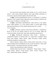 Rožių rūšys 5 puslapis