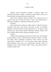 Rožių rūšys 8 puslapis