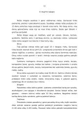 Rožių rūšys 9 puslapis