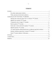 Sąskaitų plano ypatumai įmonėje 2 puslapis