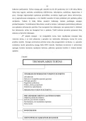 Sąskaitų plano ypatumai įmonėje 13 puslapis