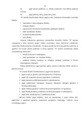 Sąskaitų plano ypatumai įmonėje 18 puslapis