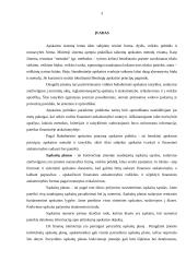 Sąskaitų plano ypatumai įmonėje 3 puslapis