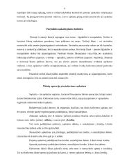 Sąskaitų plano ypatumai įmonėje 4 puslapis