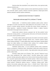 Sąskaitų plano ypatumai įmonėje 5 puslapis