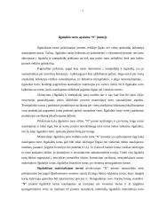 Sąskaitų plano ypatumai įmonėje 7 puslapis