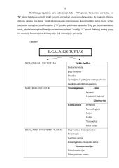 Sąskaitų plano ypatumai įmonėje 9 puslapis