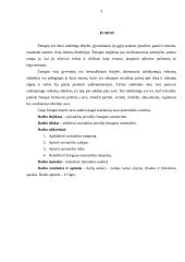 Saviauklos poveikis žmogaus asmenybei 3 puslapis